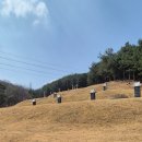이극증 묘역 내 석물 네이버블로그