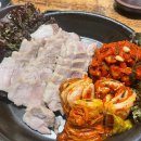 (주)티젤바이오 이미지