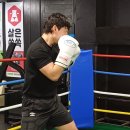정일복싱 이미지