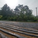 대복부동산중개 이미지