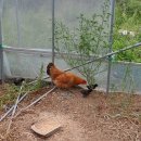 세움전기(주) 네이버블로그