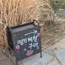 주남농장 | 창원 딸기체험 추천 주남농부더하기 아이랑 다녀온 후기, 실내 하우스라 편했어요