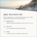 스테이 섬씽 울릉도 이미지