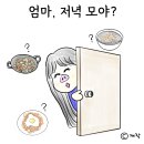 돼지세상 이미지