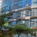 맑은소리 한의원 이미지