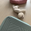 반도보라세탁 이미지