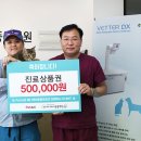 애니케어동물병원 이미지