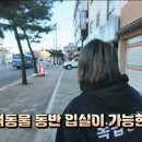 하이스텔우이동