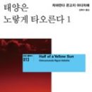 은수카 | 태양은 노랗게 타오른다 / 치마만다 은고지 아디치에