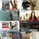 백상솔루션 이미지