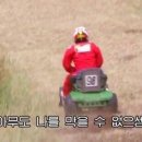 만상여행사 이미지