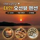 태안 펜션 추천 신두리 펜션 해수욕장 오션뷰 감성 펜션 서해안 조개체험