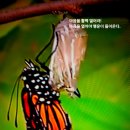 설화담 이미지