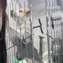 봉곡로-12 네이버블로그