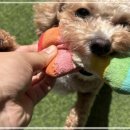 다우리유치원 이미지