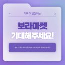 보라마켓