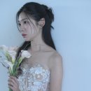 헤이스하우스2