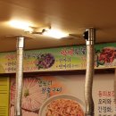 낙동생오리 이미지