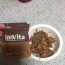 애견영양제 강아지 면역강화제 티피엘 임비타(imVita)로 관리해주어요!