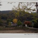 원광진양효도의 집 네이버블로그