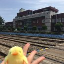 프린스장여관 이미지