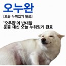 나비잠 | 포항 프라이빗 풀빌라 "나비잠" 내돈내산 후기