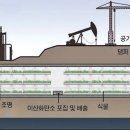 영국농장 이미지