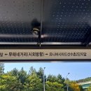 무태네거리 정류장 네이버블로그