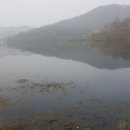 광덕농원 이미지