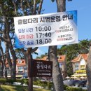 호수공원소나무숲길 | [울산 대왕암 출렁다리] 생각보다 재밌었던 대왕암 출렁다리 후기! 울산 가볼만한 곳