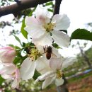 속리농원 이미지