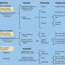 혜성치과기공소 이미지