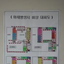 수락초교 이미지