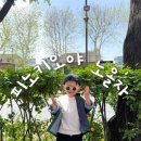 공공용 86 | 피노키오야 노올자｜36개월 아이와 대학로 어린이뮤지컬 후기 &amp; 주차 팁