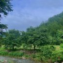 2025/07/19 (토) 제 306차 횡성 "숲체원 걷기, 신대리계곡 물놀이" 이미지