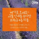 카페티움
