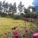 하누농장 이미지