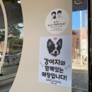 세이유네일