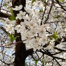 중앙한방병원 이미지