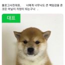 월 이미지
