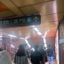 지하철약국 | 서울역에서 서울대학교병원 가는방법 (지하철로 가장 쉬운 루트 + 혜화역 도보 + 약국위치)