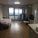 서귀포대신중학교 이미지