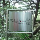 곡성읍사무소 Daum카페