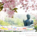 4월26일(화) 마지막 봄꽃 여행 ~ 이미지