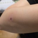 나래안경 | 부평 태닝샵 온더브라운태닝 / 화이트태닝 후기 / 가격 주차