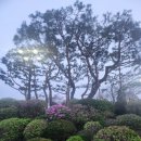 제178회 정기연주회 | 춘천시립교향악단 제178회 정기연주회 오베론