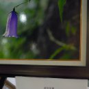 신서고등학교 이미지