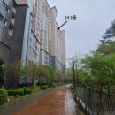 동일수지 이미지