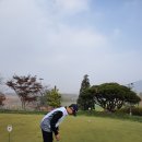 라운딩 이미지