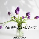 화이트리에 동탄점 이미지